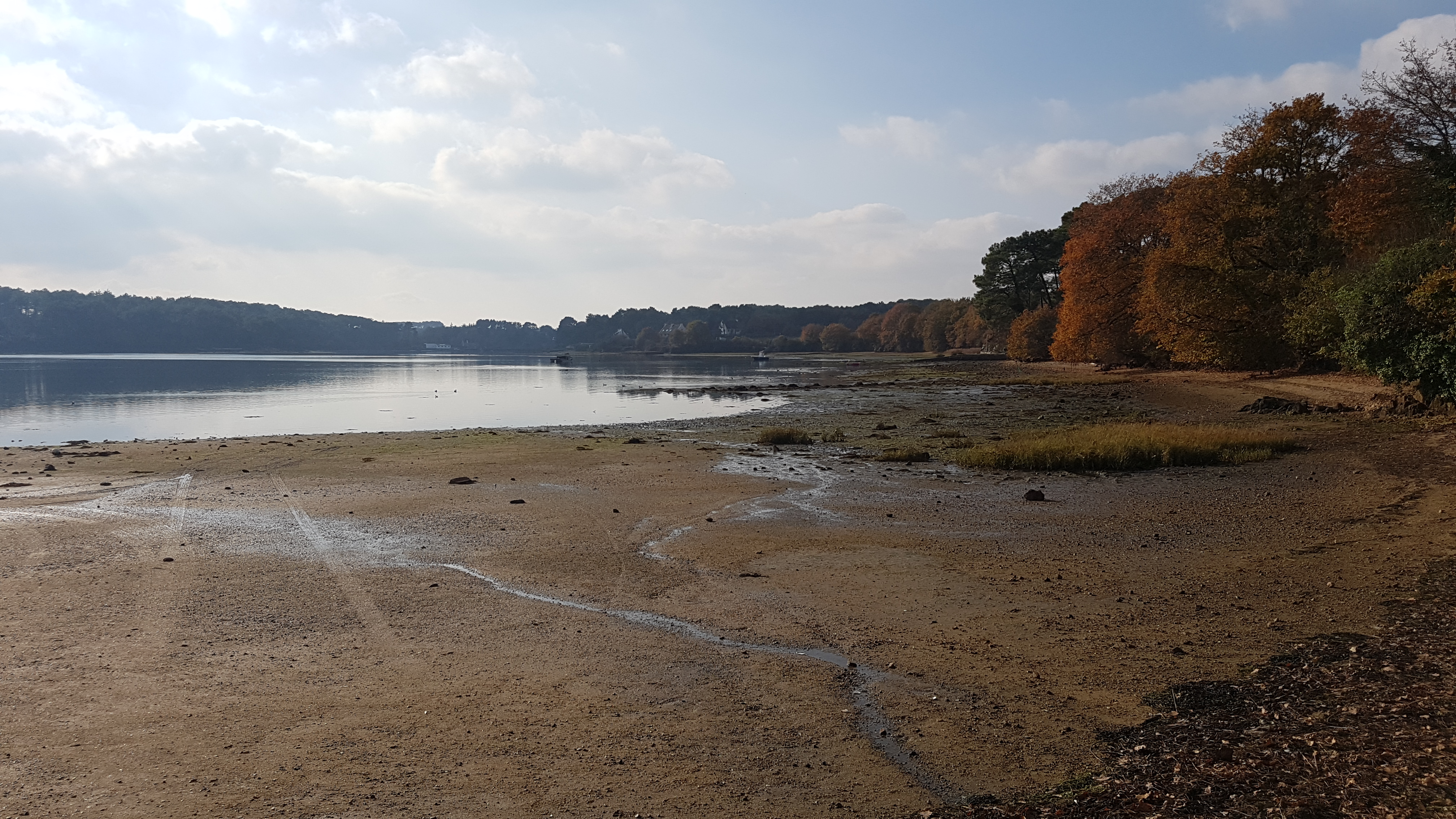 plage marée basse